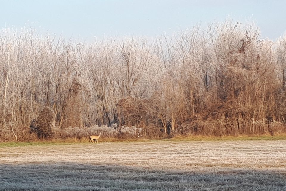 Budapesthez közel (mindössze 20 km), lakott területtől távol, nyugodt, csendes, természetes környezetben helyezkedik el csapatépítésre használt területünk.